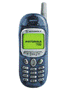 Best available price of Motorola T190 in Uk