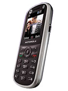 Best available price of Motorola WX288 in Uk
