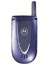 Best available price of Motorola V66i in Uk